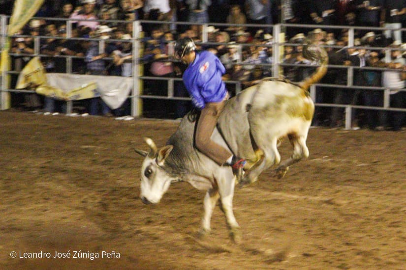 FERIA1