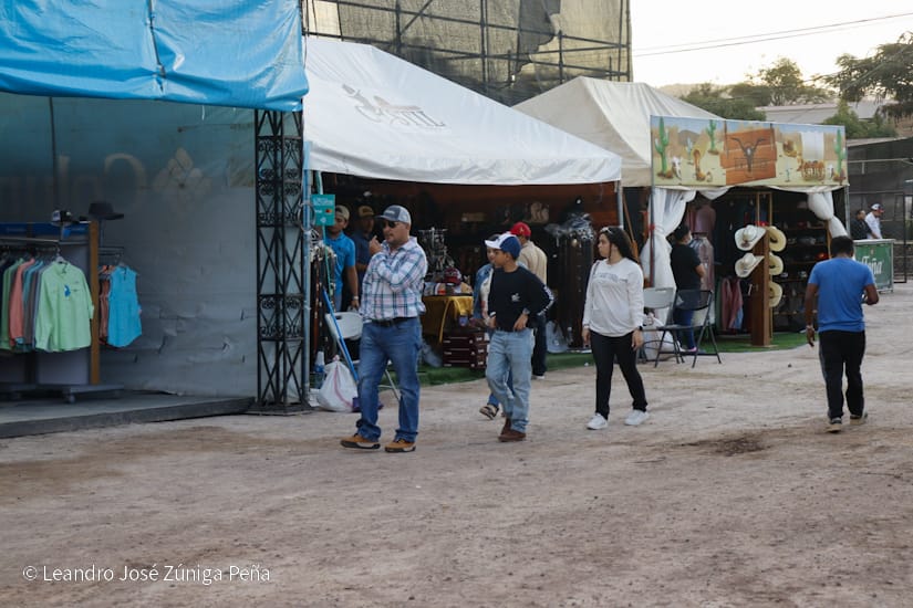 FERIA14