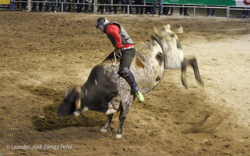 FERIA15