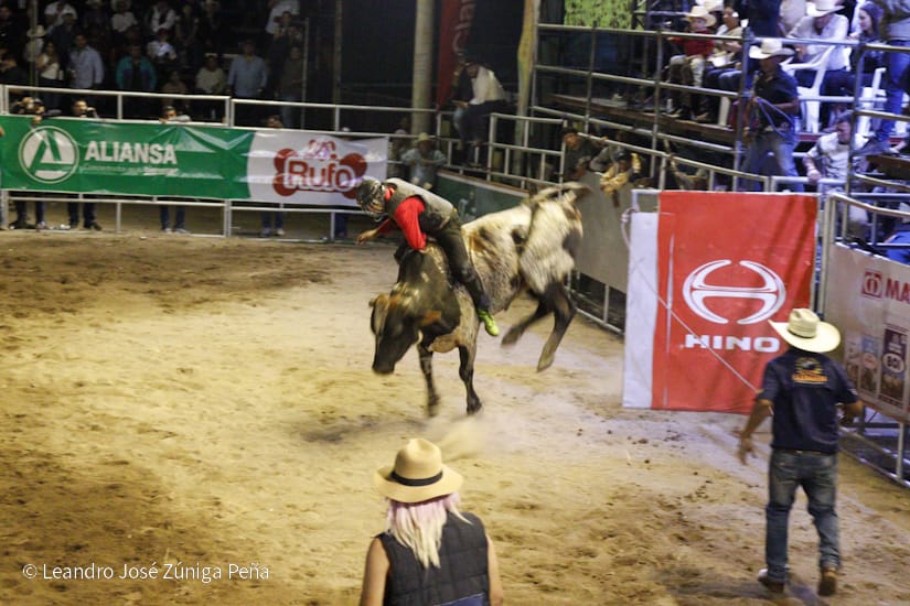 FERIA18