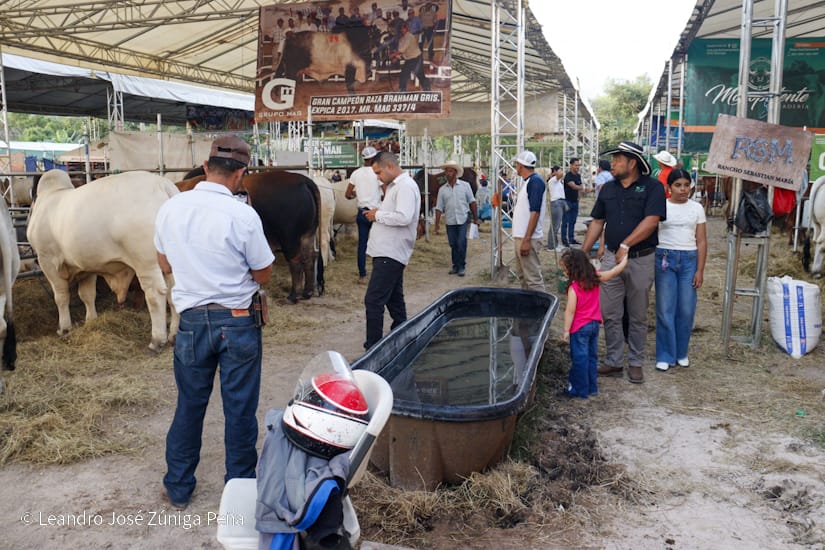 FERIA30