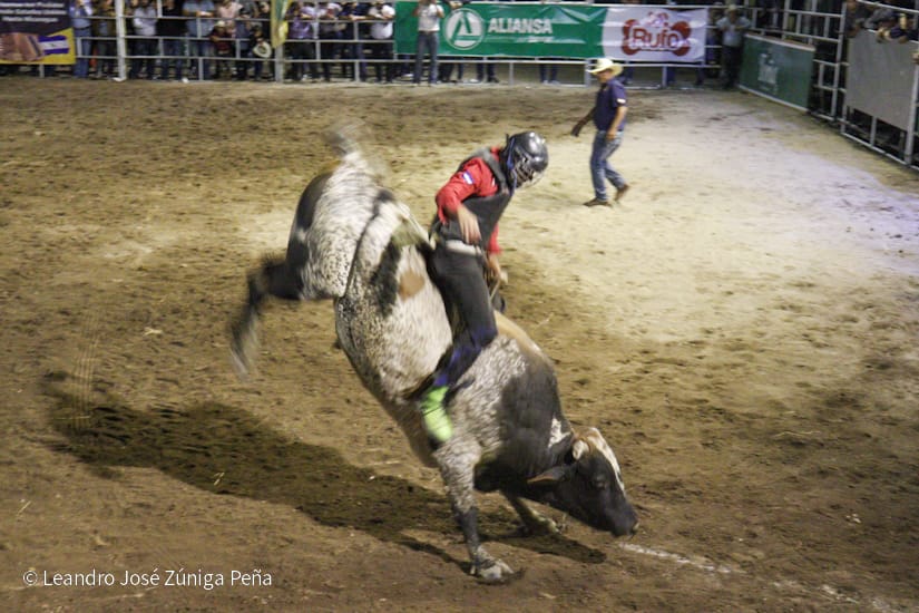 FERIA37