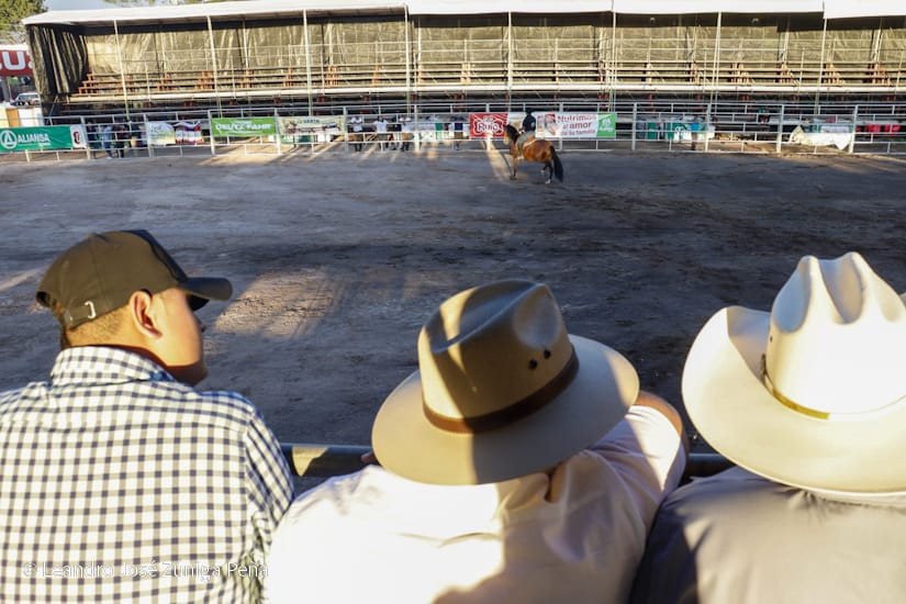 FERIA39