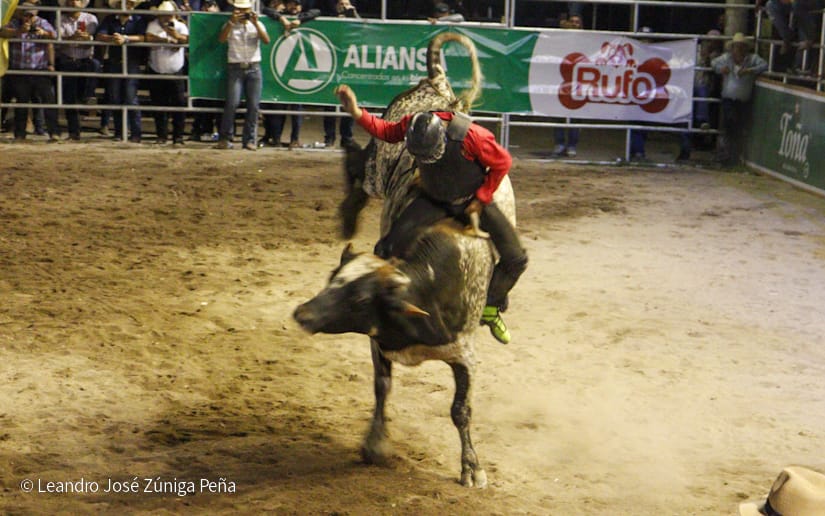 FERIA4