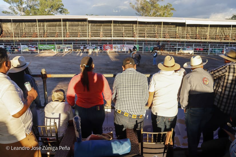FERIA50