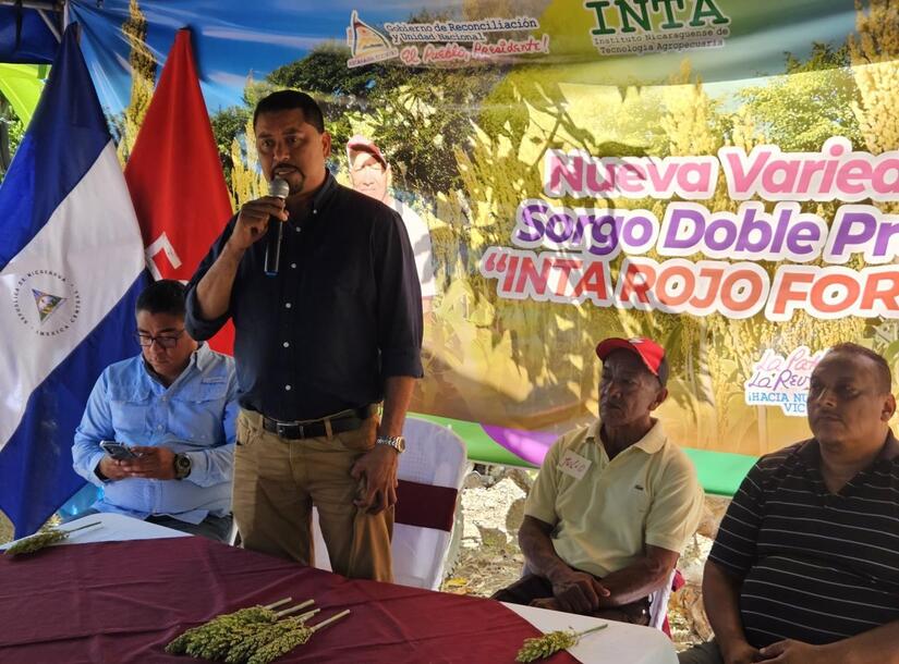 SORGO1