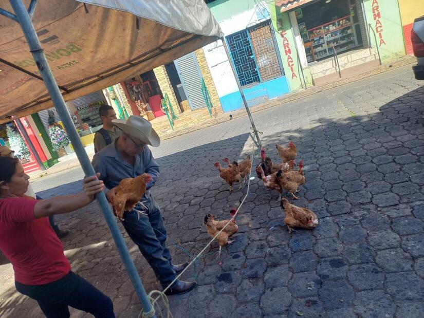 MERCADOS-(11)
