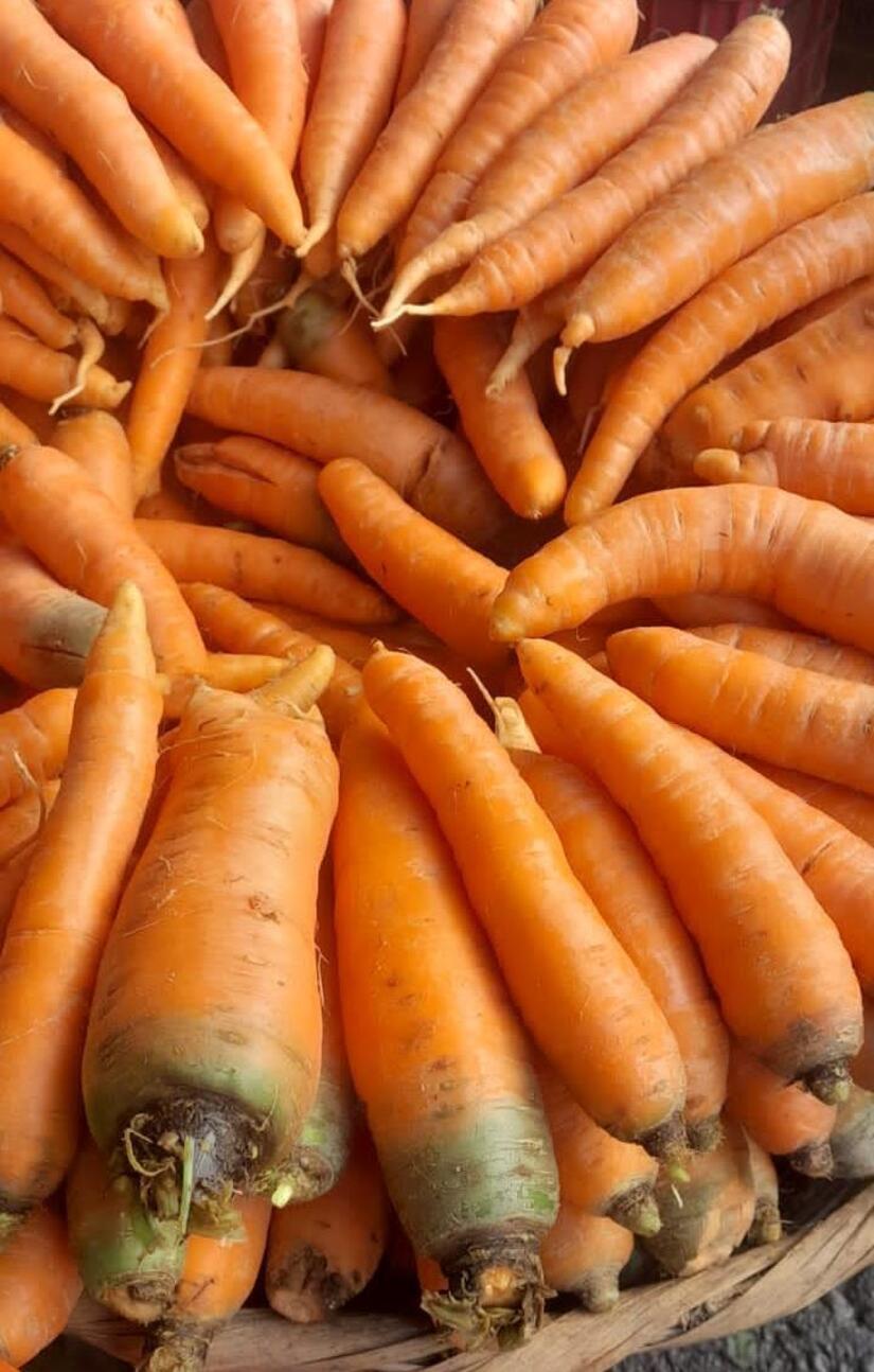 MERCADOS-(2)