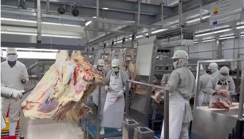 CARNE2