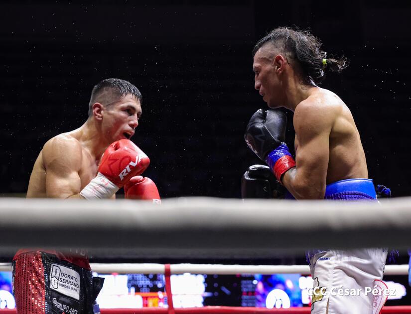 BOXEO-(2)