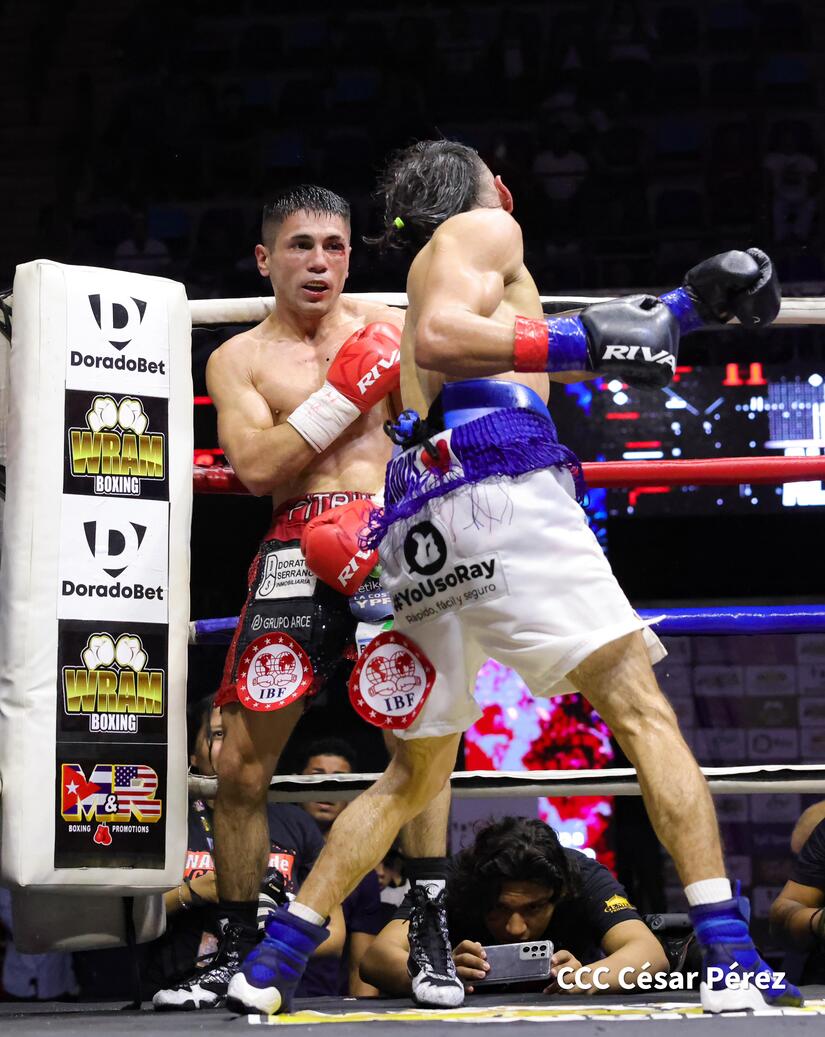 BOXEO-(7)