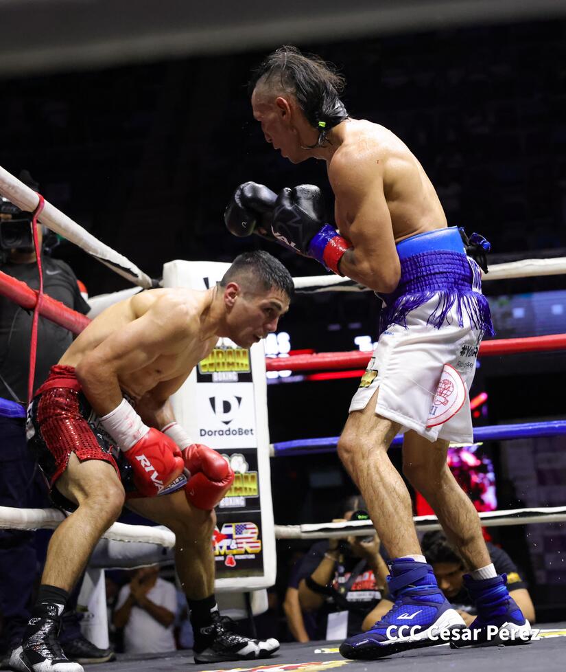 BOXEO-(8)