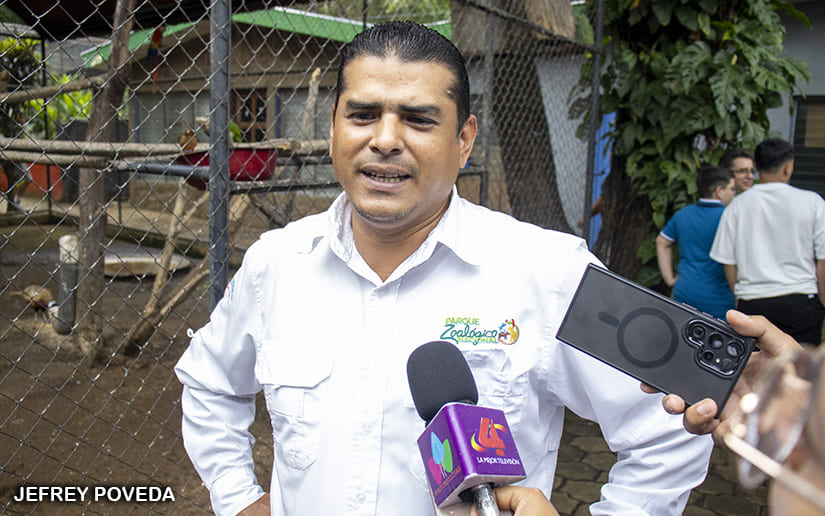 ZOOLOGICO_12