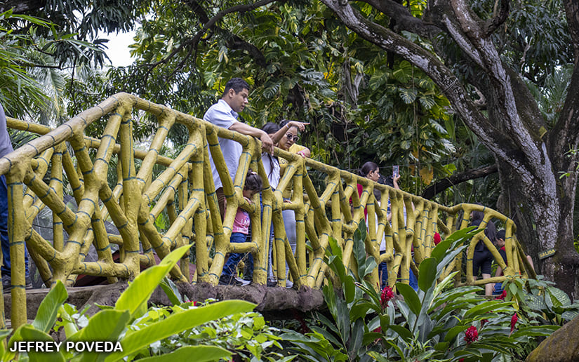 ZOOLOGICO_9