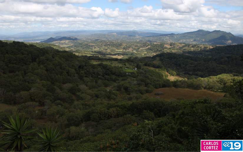 estel&iacute;