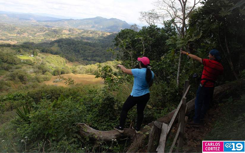estel&iacute;