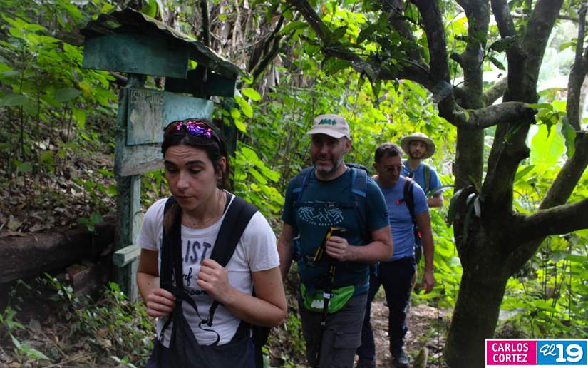estel&iacute;
