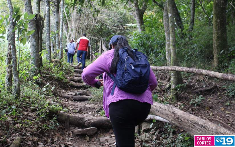 estel&iacute;