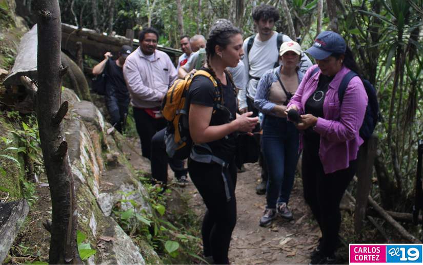 estel&iacute;