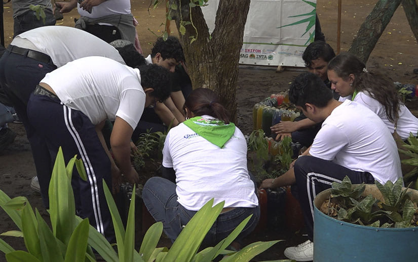 REFORESTACION