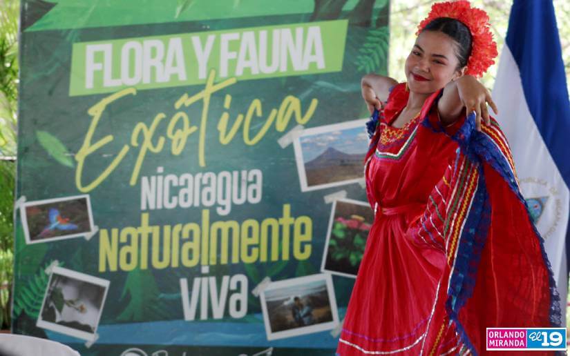 CONCURSO