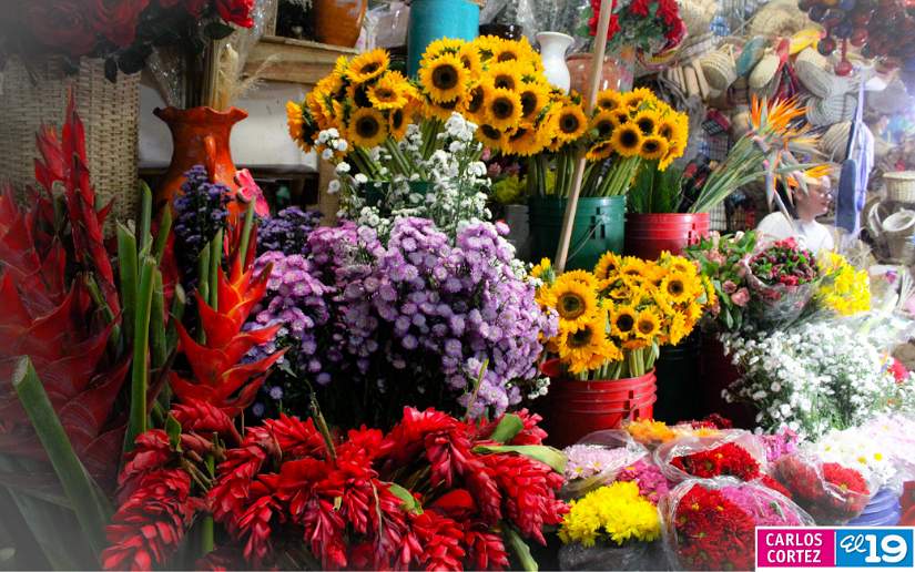 MERCADO