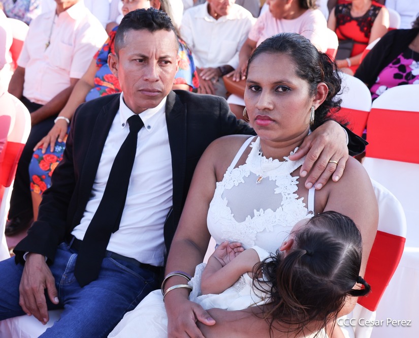 bodas