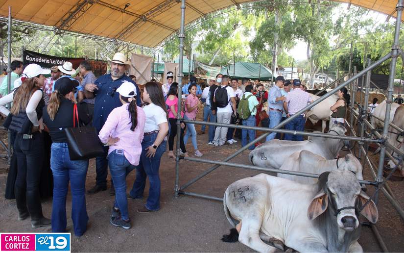 feria