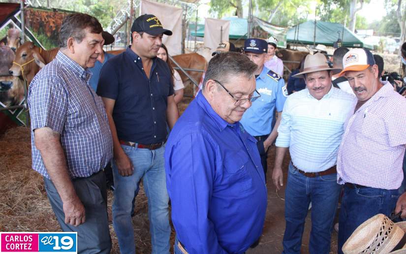 feria