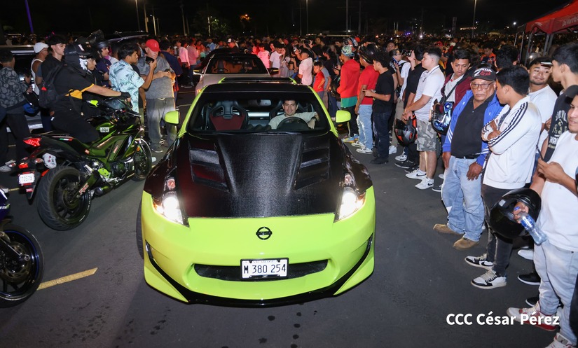CARROS