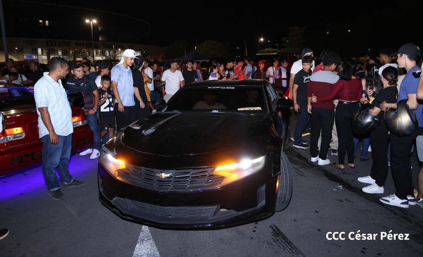 CARROS