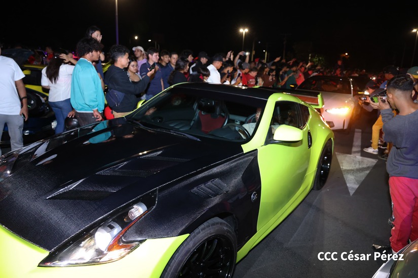 CARROS