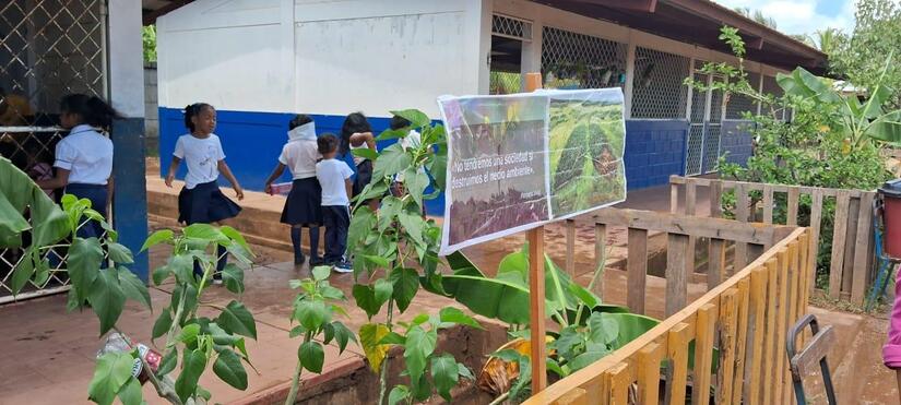 escuelas