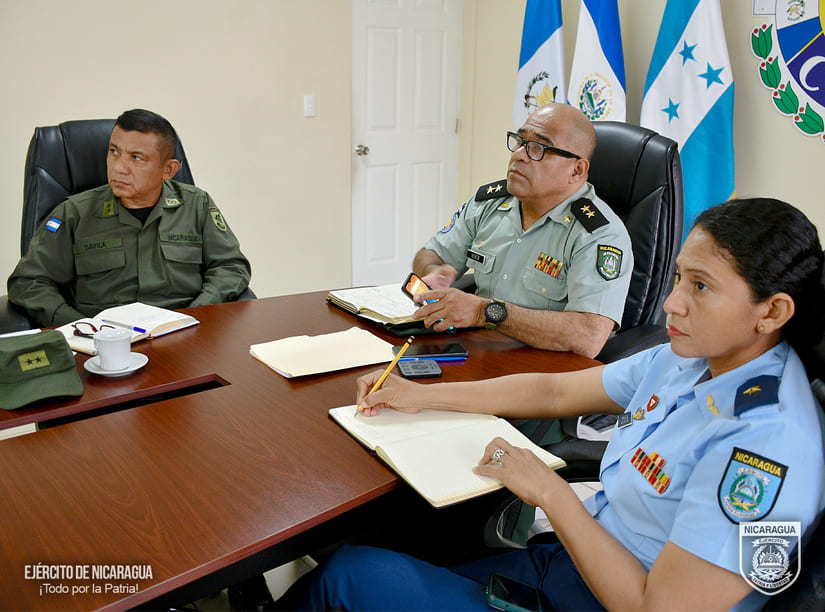 diplomado