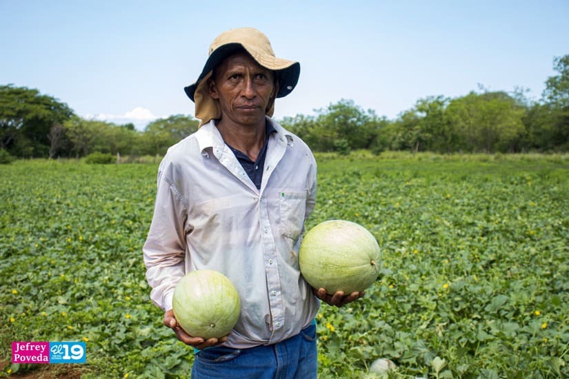 MELON