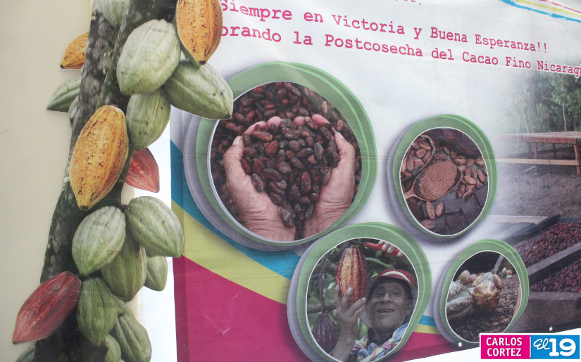 CACAO