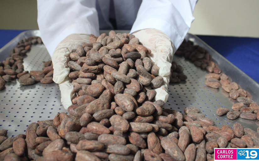 CACAO