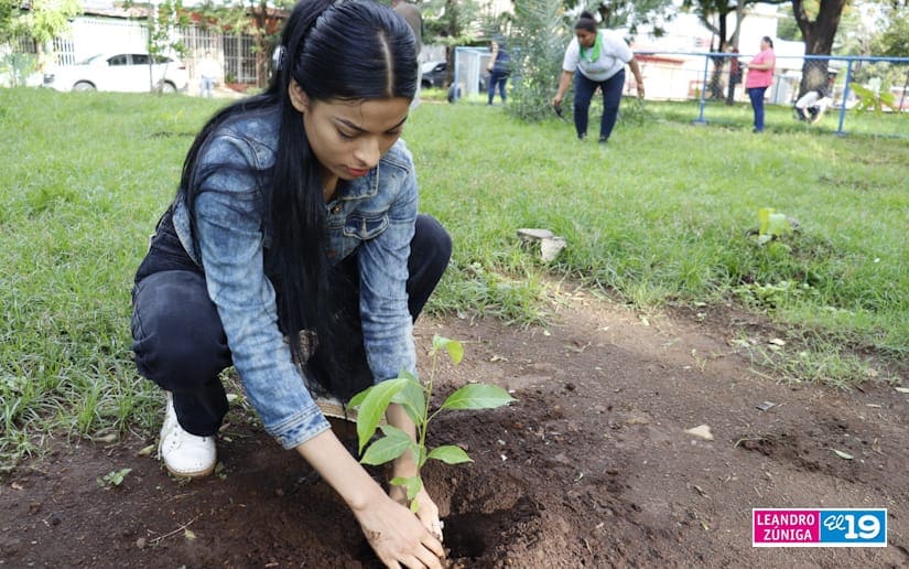 JORNADA
