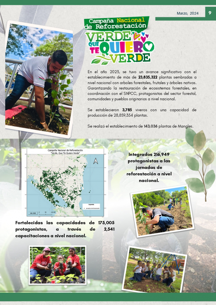BOLETIN