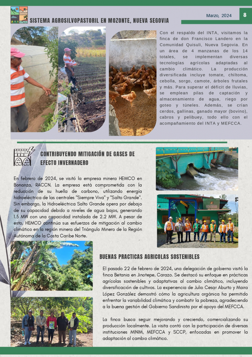 BOLETIN