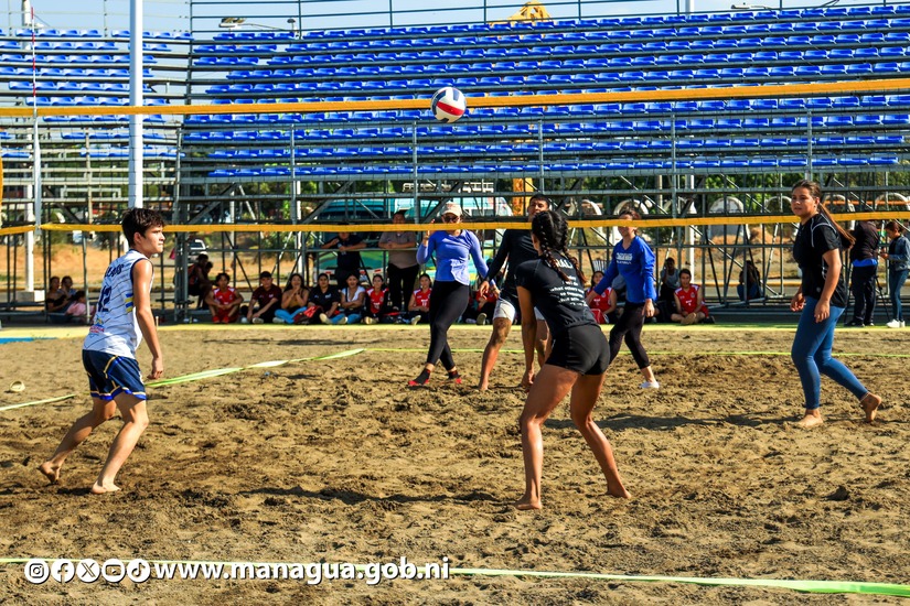 voley
