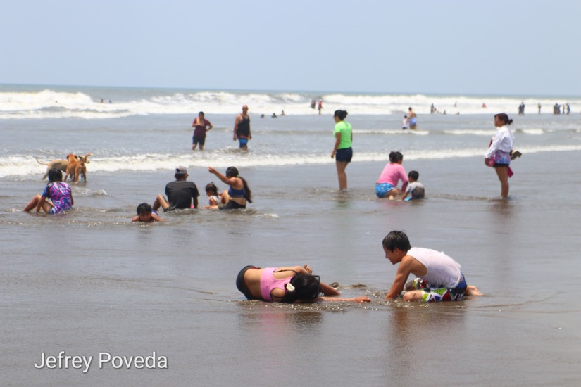 poneloya
