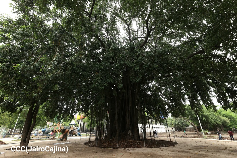 PARQUE