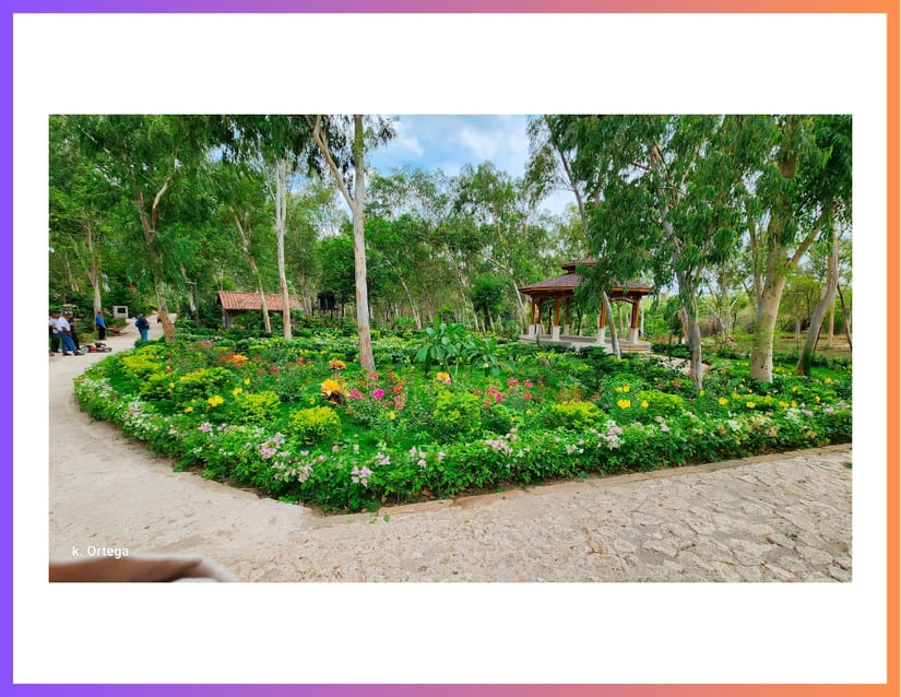 PARQUE