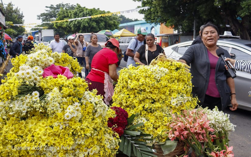 familias-(43)