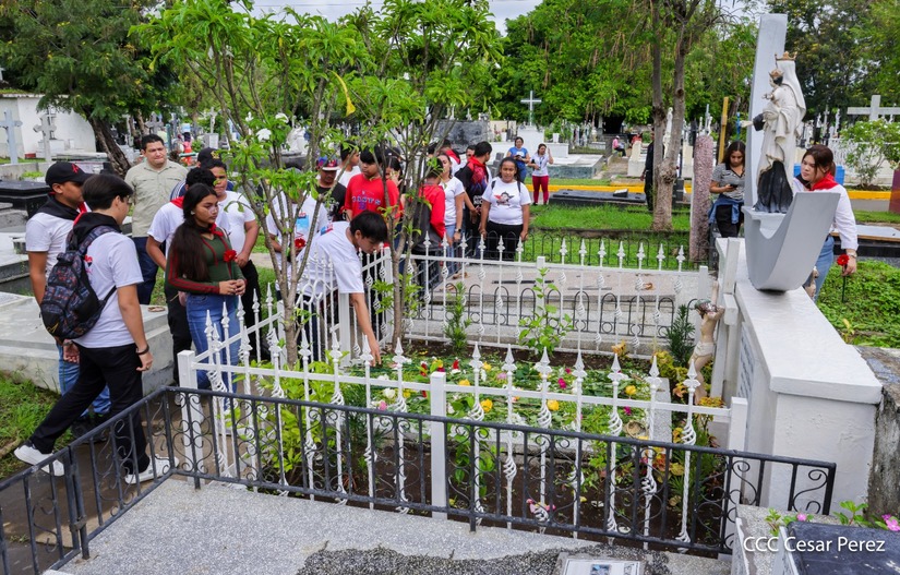flores-(10)