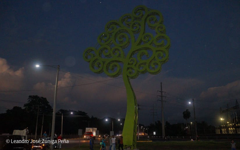 ARBOL-(7)
