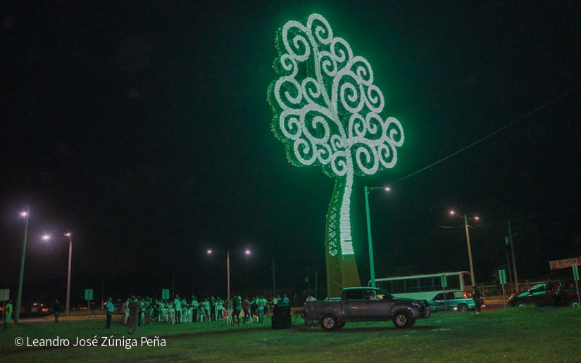 ARBOL-(9)