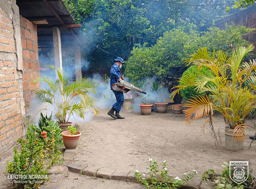FUMIGACION4