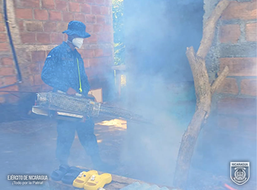FUMIGACION5
